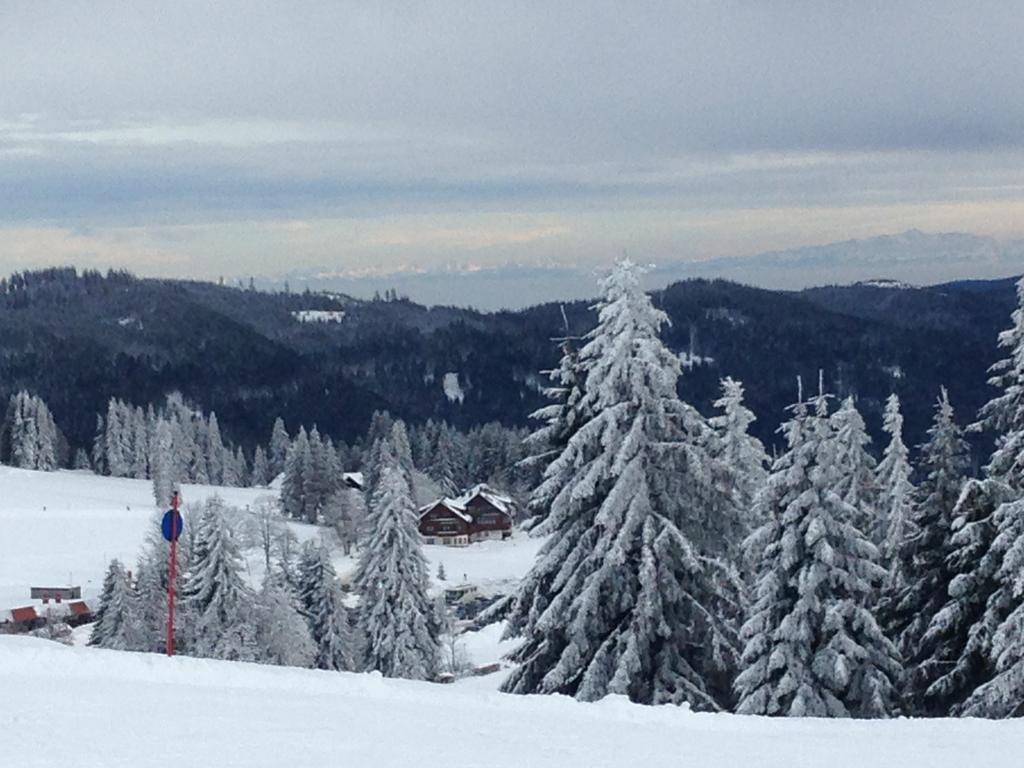 Готель Pop-Up Stuub Feldberg Фельдберг Екстер'єр фото